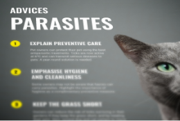 Advice Parasites